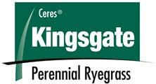 Kingsgate Perennial Ryegrass