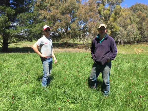 Ross Gilmore One50 | AusWest & Stephen Pasture Seeds