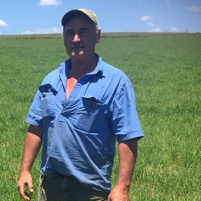 Savvy cocksfoot Jim Fleming | AusWest & Stephen Pasture Seeds